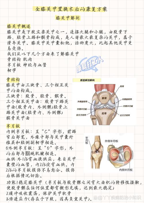 女孩常识置换,小侄子到访常识置换-第5张图片-牛逼常识网 女孩常识置换,小侄子到访常识置换-第5张图片-牛逼常识网
