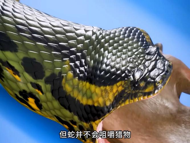 厄尔尼诺常识(厄尔尼诺现象分析)-第3张图片-牛逼常识网 厄尔尼诺常识(厄尔尼诺现象分析)-第3张图片-牛逼常识网