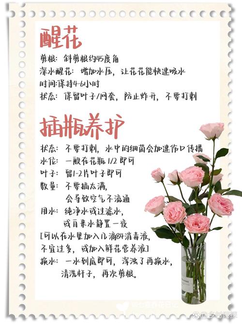 花卉文化常识(花卉知识总结)-第3张图片-牛逼常识网 花卉文化常识(花卉知识总结)-第3张图片-牛逼常识网