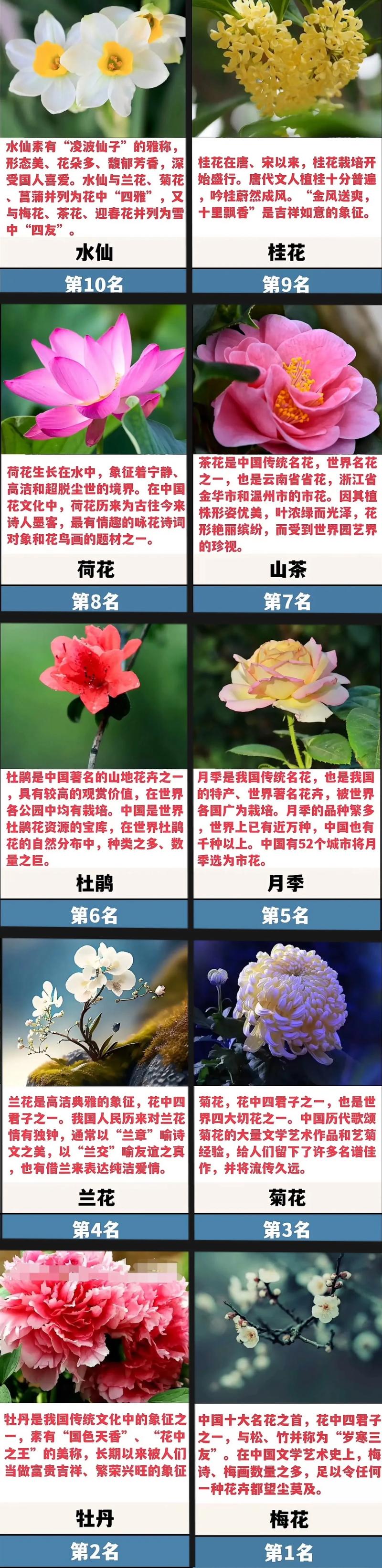 花卉文化常识(花卉知识总结)-第7张图片-牛逼常识网 花卉文化常识(花卉知识总结)-第7张图片-牛逼常识网