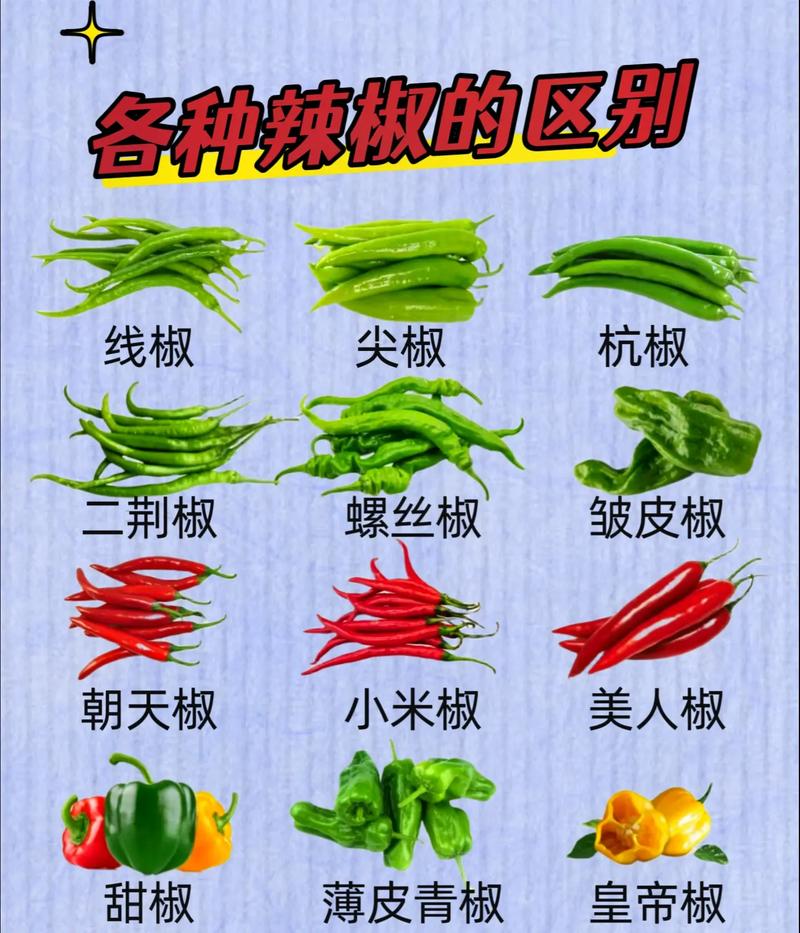 常识概念模糊(概念模糊的句子及答案)-第1张图片-牛逼常识网 常识概念模糊(概念模糊的句子及答案)-第1张图片-牛逼常识网