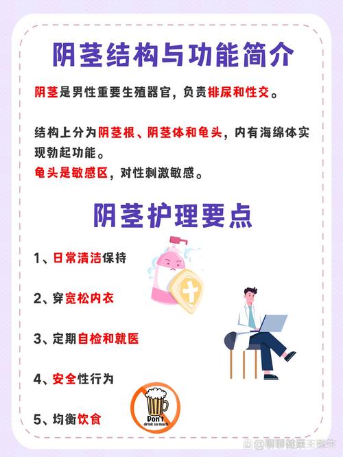 男性的性常识 - 男性知识的基本常识-第2张图片-牛逼常识网 男性的性常识 - 男性知识的基本常识-第2张图片-牛逼常识网