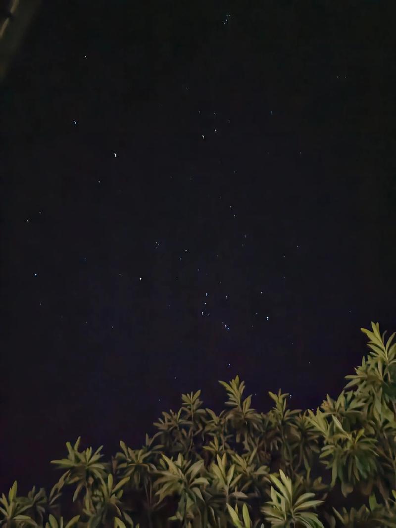 夜晚的星星是什么天体（夜晚的星星到底是什么）
