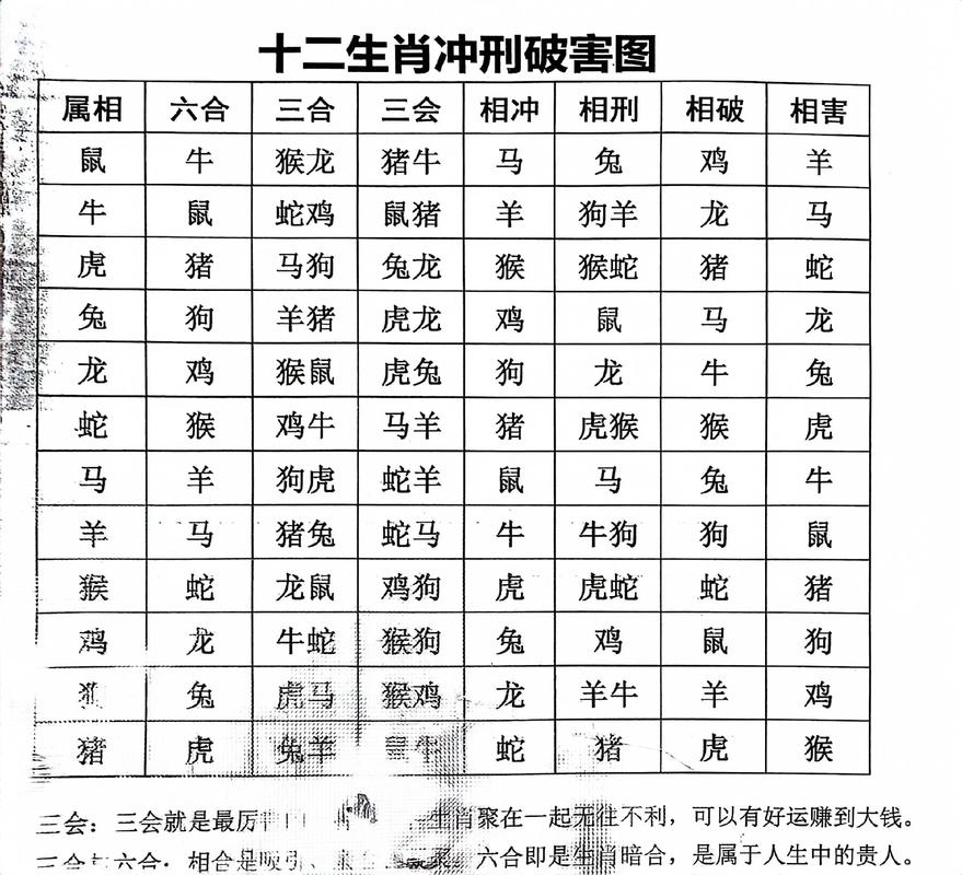 生肖常识大全(最全的生肖知识大全)-第2张图片-牛逼常识网 生肖常识大全(最全的生肖知识大全)-第2张图片-牛逼常识网