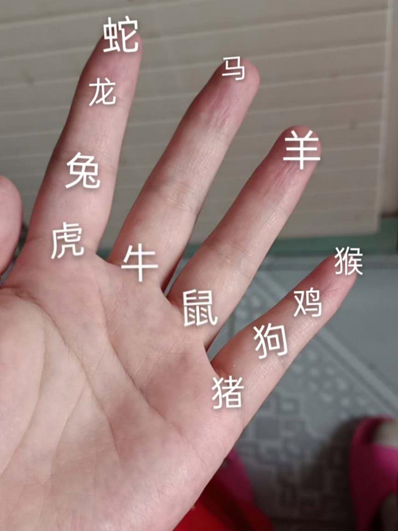 生肖常识大全(最全的生肖知识大全)-第8张图片-牛逼常识网 生肖常识大全(最全的生肖知识大全)-第8张图片-牛逼常识网