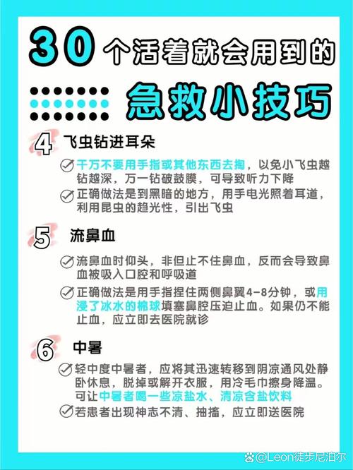 卫生与救护基本知识（卫生与救护内容）
