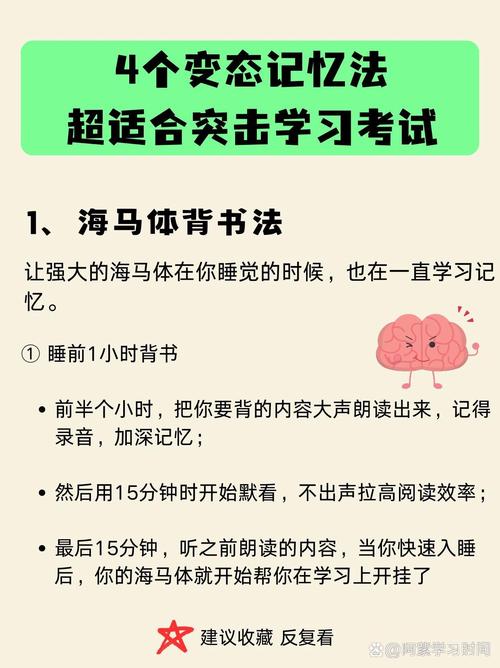 联考备考（联考必备）