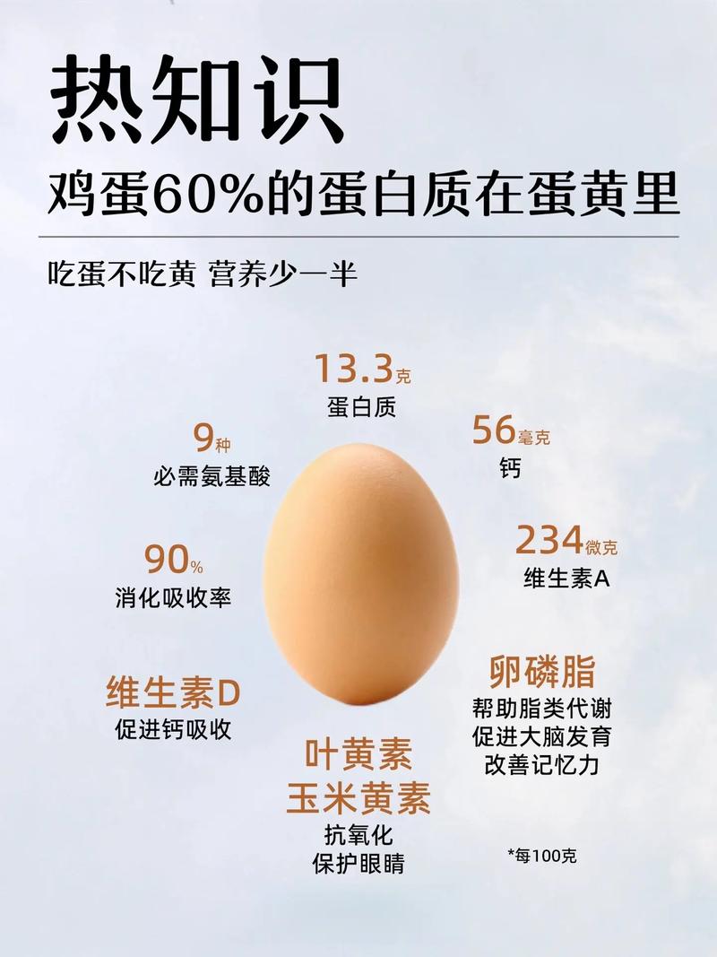 鸡蛋生活常识 - 鸡蛋的科普知识-第1张图片-牛逼常识网 鸡蛋生活常识 - 鸡蛋的科普知识-第1张图片-牛逼常识网