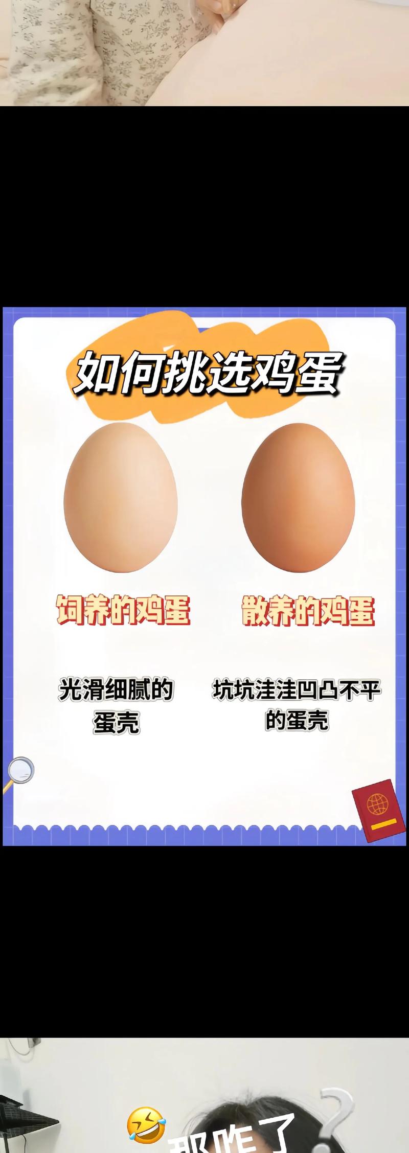 鸡蛋生活常识 - 鸡蛋的科普知识-第4张图片-牛逼常识网 鸡蛋生活常识 - 鸡蛋的科普知识-第4张图片-牛逼常识网