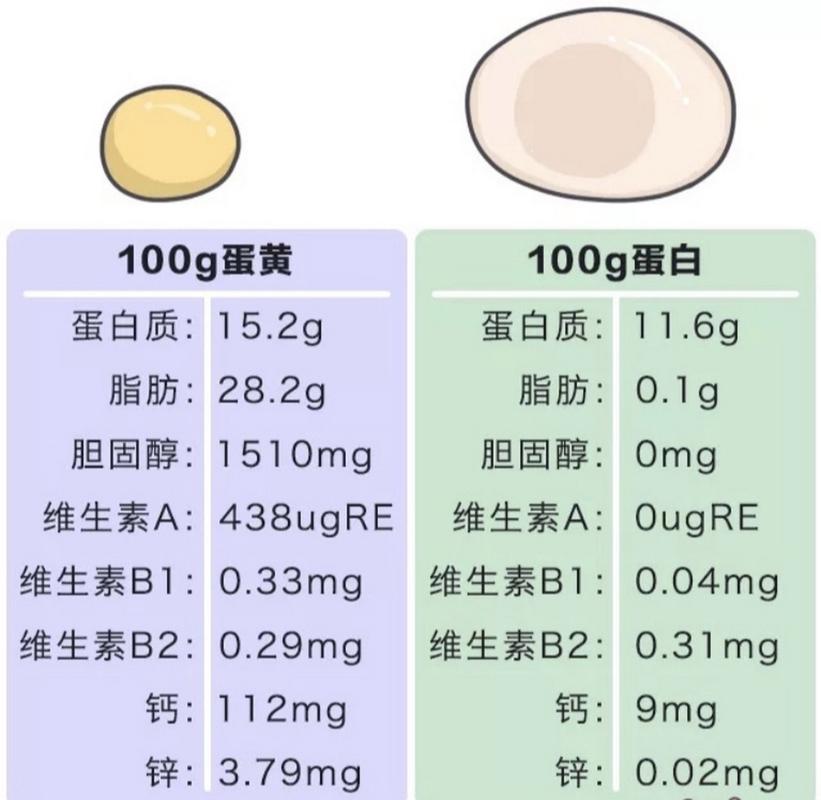 鸡蛋生活常识 - 鸡蛋的科普知识-第5张图片-牛逼常识网 鸡蛋生活常识 - 鸡蛋的科普知识-第5张图片-牛逼常识网
