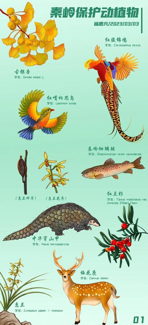 植物生活常识,植物生活常识大全-第1张图片-牛逼常识网 植物生活常识,植物生活常识大全-第1张图片-牛逼常识网