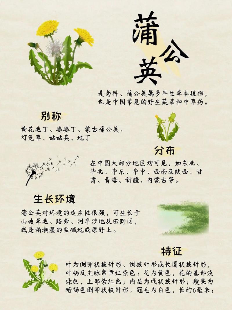 植物生活常识,植物生活常识大全-第2张图片-牛逼常识网 植物生活常识,植物生活常识大全-第2张图片-牛逼常识网