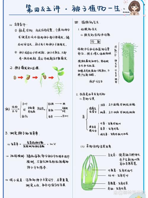 植物生活常识,植物生活常识大全-第4张图片-牛逼常识网 植物生活常识,植物生活常识大全-第4张图片-牛逼常识网