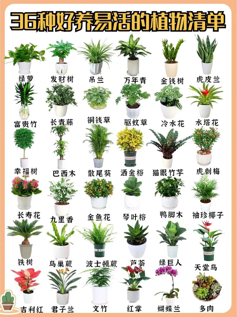 植物生活常识,植物生活常识大全-第5张图片-牛逼常识网 植物生活常识,植物生活常识大全-第5张图片-牛逼常识网