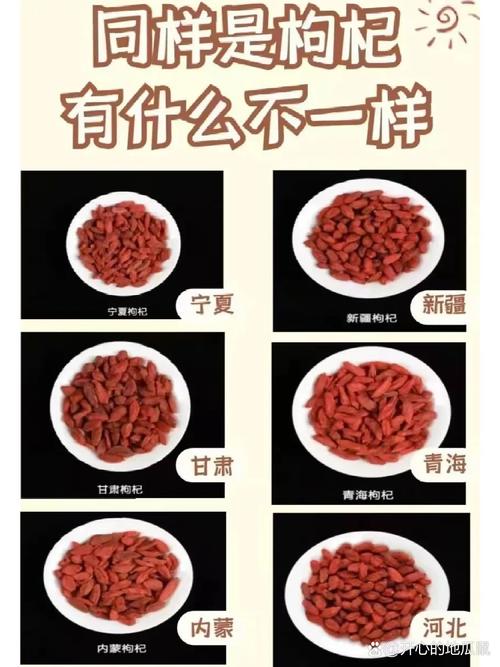 枸杞常识大全 - 枸杞子的-第6张图片-牛逼常识网 枸杞常识大全 - 枸杞子的-第6张图片-牛逼常识网