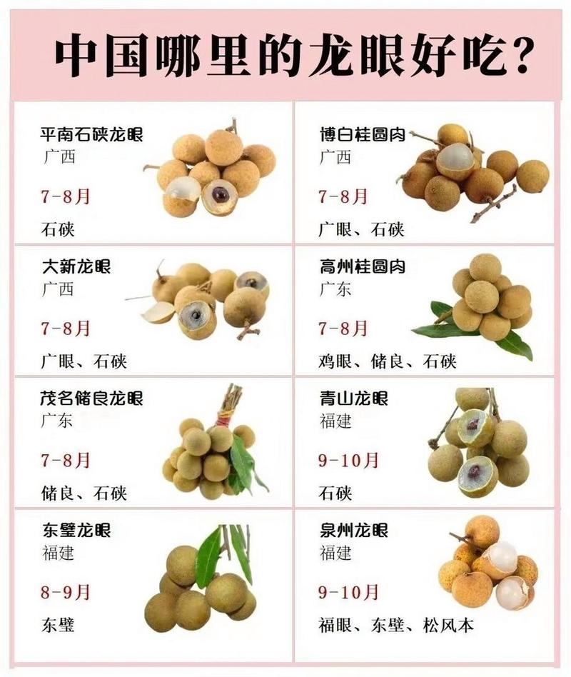 龙眼的小常识,龙眼小知识-第5张图片-牛逼常识网 龙眼的小常识,龙眼小知识-第5张图片-牛逼常识网