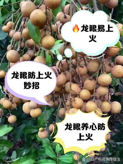 龙眼的小常识,龙眼小知识-第6张图片-牛逼常识网 龙眼的小常识,龙眼小知识-第6张图片-牛逼常识网
