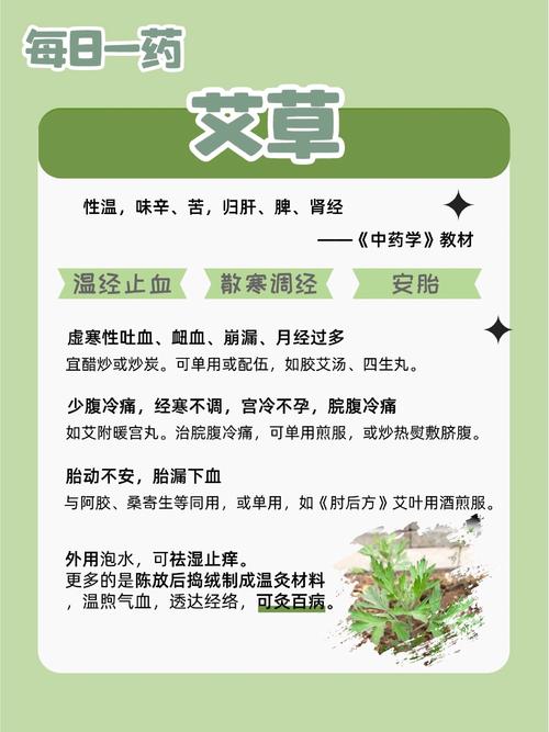 预防艾滋病知识手抄报内容（预防艾滋病手抄报 艾滋病预防）