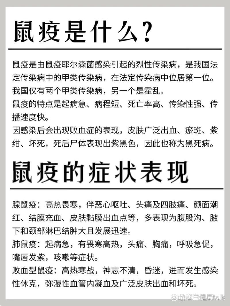 鼠疫常识新闻,鼠疫的防治知识宣传栏-第5张图片-牛逼常识网 鼠疫常识新闻,鼠疫的防治知识宣传栏-第5张图片-牛逼常识网