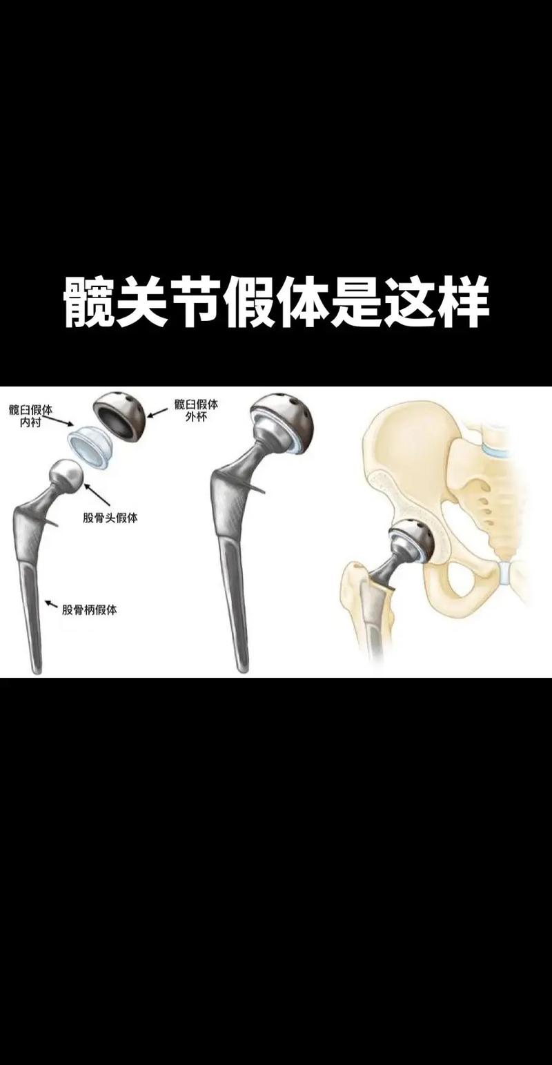 常识置换家人(常识置换侄子来访的作者是谁)-第4张图片-牛逼常识网 常识置换家人(常识置换侄子来访的作者是谁)-第4张图片-牛逼常识网