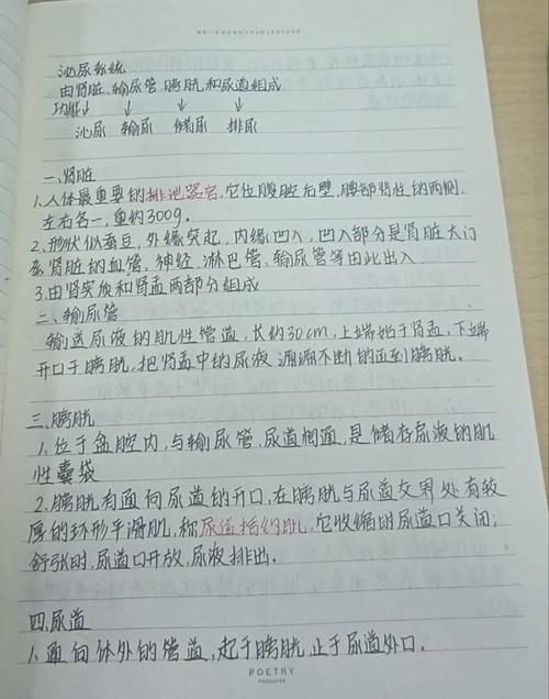 日常医学常识笔记 - 日常医学常识大全-第4张图片-牛逼常识网 日常医学常识笔记 - 日常医学常识大全-第4张图片-牛逼常识网