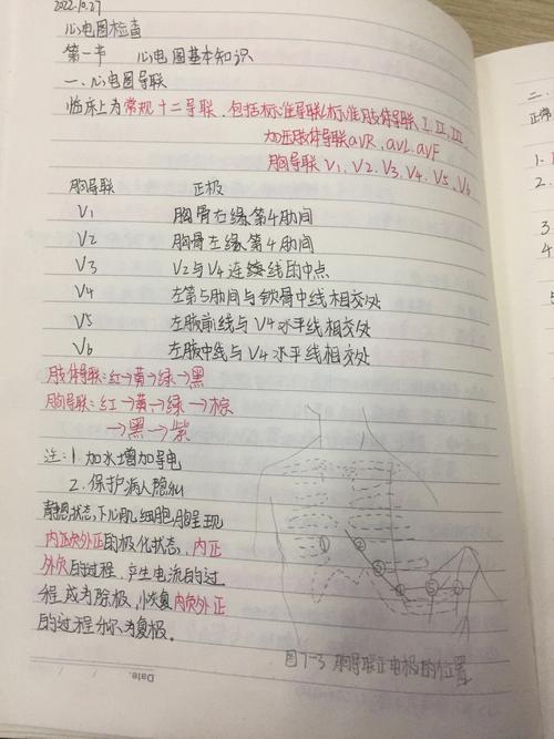 日常医学常识笔记 - 日常医学常识大全-第6张图片-牛逼常识网 日常医学常识笔记 - 日常医学常识大全-第6张图片-牛逼常识网