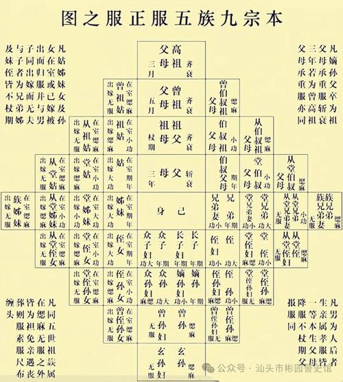 公的文化常识 - 文化常识公子-第5张图片-牛逼常识网 公的文化常识 - 文化常识公子-第5张图片-牛逼常识网