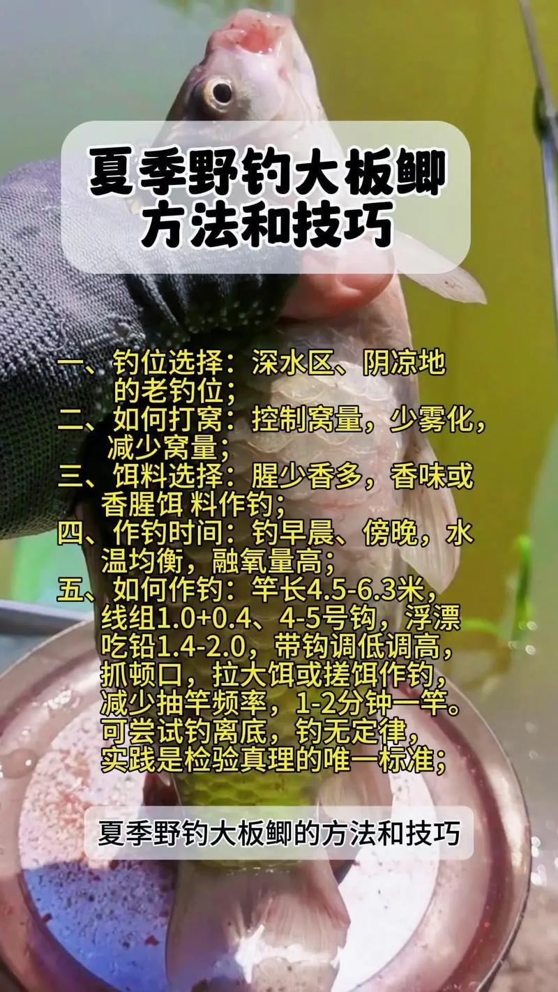 河里捕鱼方法大全（小河里捕鱼）