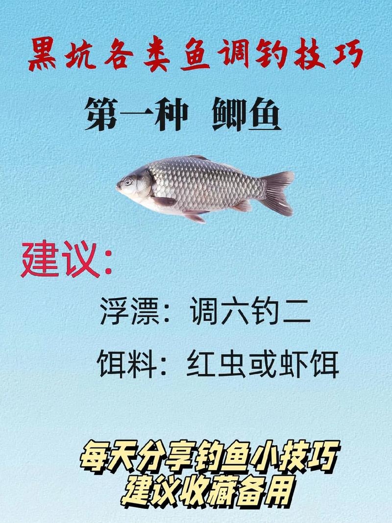 河里捕鱼常识,河里捕鱼常识是什么-第2张图片-牛逼常识网 河里捕鱼常识,河里捕鱼常识是什么-第2张图片-牛逼常识网