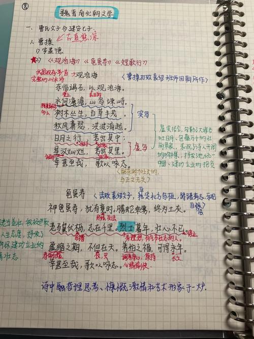 宗室的作用（宗室的文学常识）