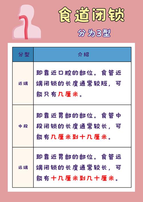 常识改变术式(常识改变术式名词解释)-第2张图片-牛逼常识网 常识改变术式(常识改变术式名词解释)-第2张图片-牛逼常识网