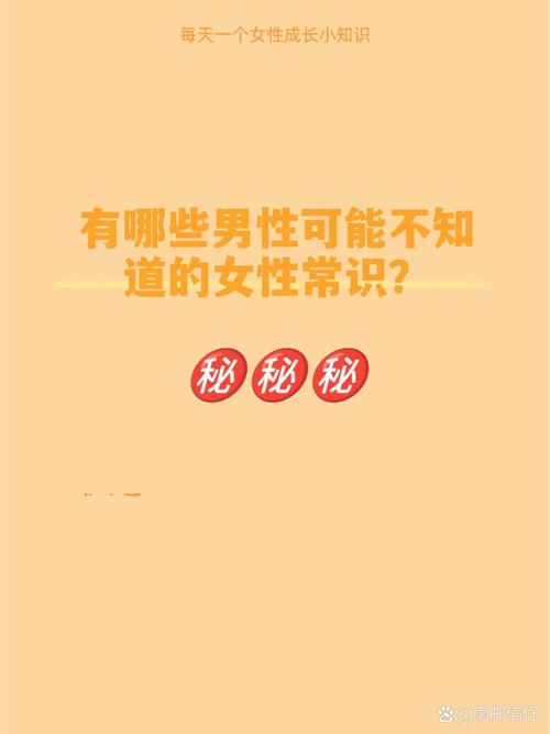 女士打底袜子什么牌子好（女生打底袜穿法）