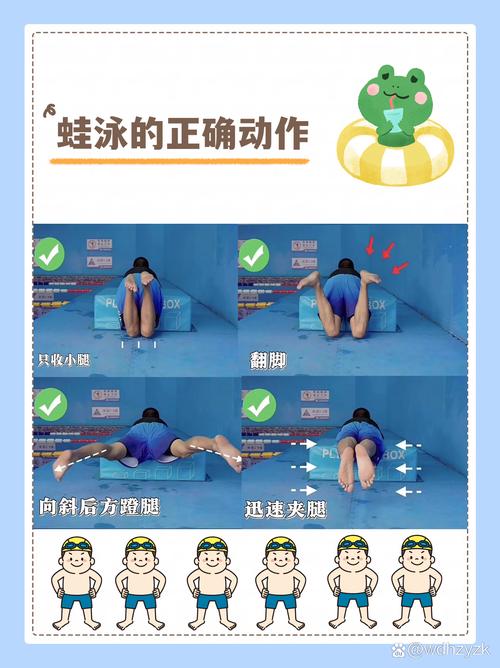 蛙泳基本常识 - 蛙泳的基本技术和注意事项-第5张图片-牛逼常识网 蛙泳基本常识 - 蛙泳的基本技术和注意事项-第5张图片-牛逼常识网