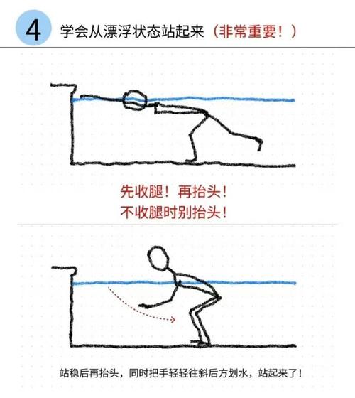 蛙泳基本常识 - 蛙泳的基本技术和注意事项-第6张图片-牛逼常识网 蛙泳基本常识 - 蛙泳的基本技术和注意事项-第6张图片-牛逼常识网