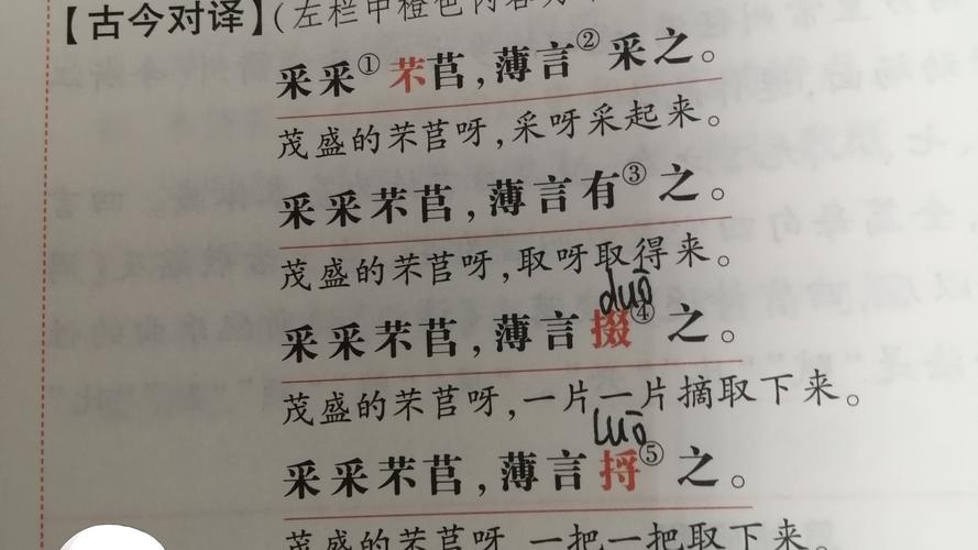 文化常识曹参,文化常识 侯-第1张图片-牛逼常识网 文化常识曹参,文化常识 侯-第1张图片-牛逼常识网