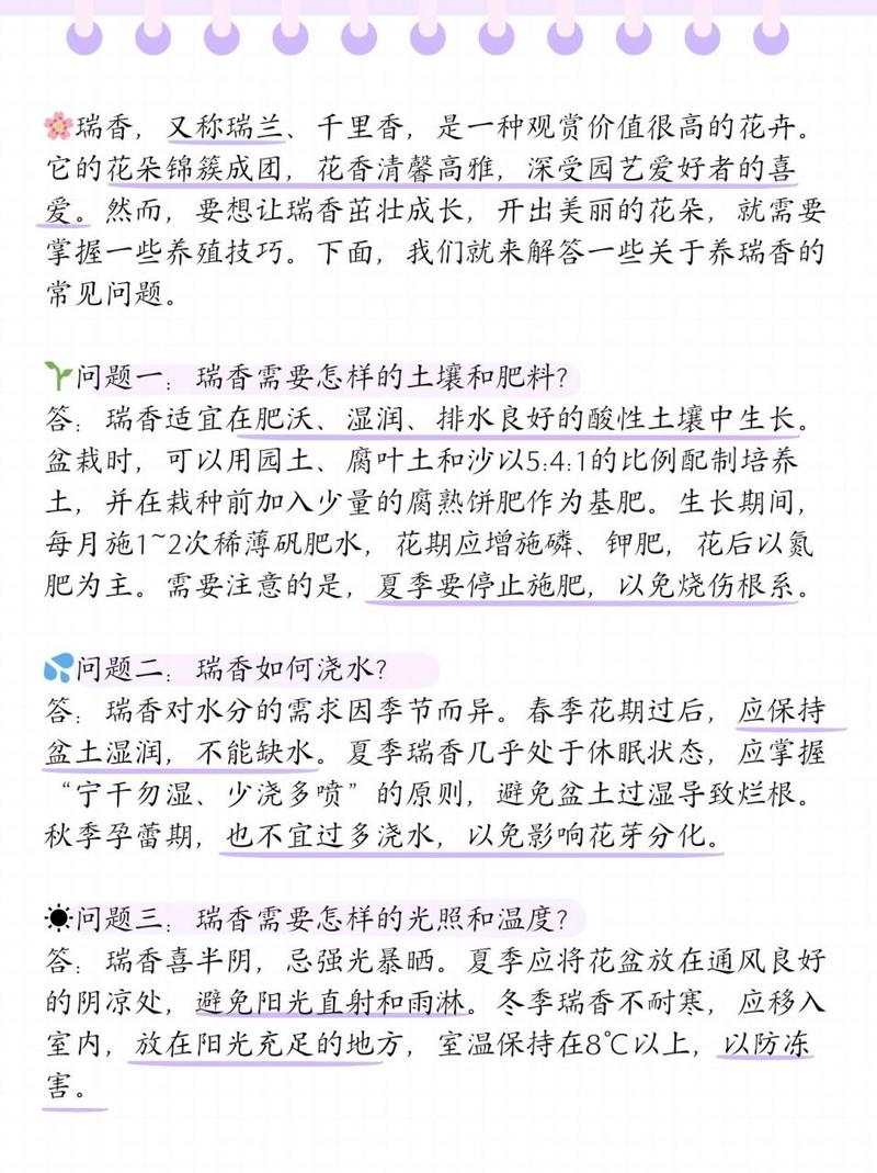瑞香养殖常识 - 瑞香的养殖方法和施肥-第8张图片-牛逼常识网 瑞香养殖常识 - 瑞香的养殖方法和施肥-第8张图片-牛逼常识网