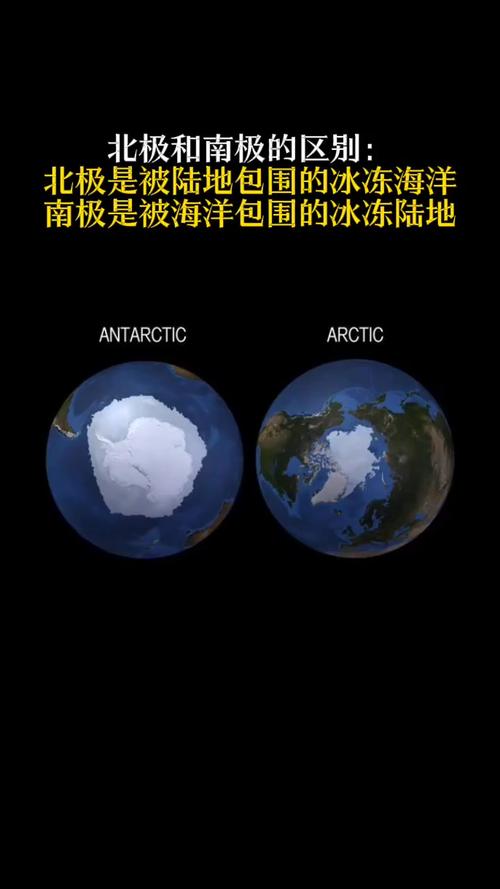 南北俩极常识(南北两极是怎么形成的)-第2张图片-牛逼常识网 南北俩极常识(南北两极是怎么形成的)-第2张图片-牛逼常识网
