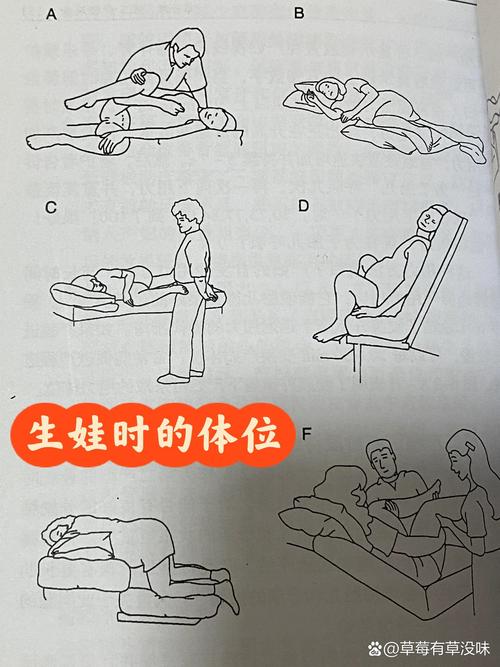 违背生理常识 - 违背了生活常识-第4张图片-牛逼常识网 违背生理常识 - 违背了生活常识-第4张图片-牛逼常识网