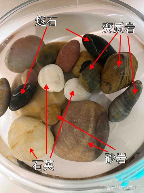 石头文化常识,石头文化常识介绍-第1张图片-牛逼常识网 石头文化常识,石头文化常识介绍-第1张图片-牛逼常识网