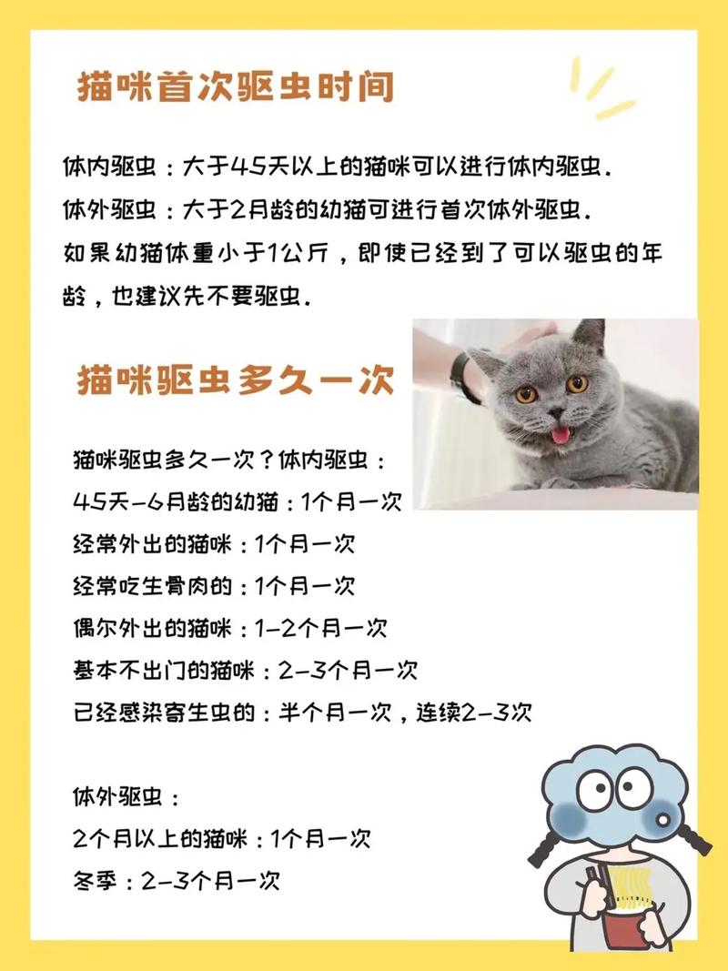 猫咪驱虫常识,猫咪驱虫顺序及注意事项-第1张图片-牛逼常识网 猫咪驱虫常识,猫咪驱虫顺序及注意事项-第1张图片-牛逼常识网
