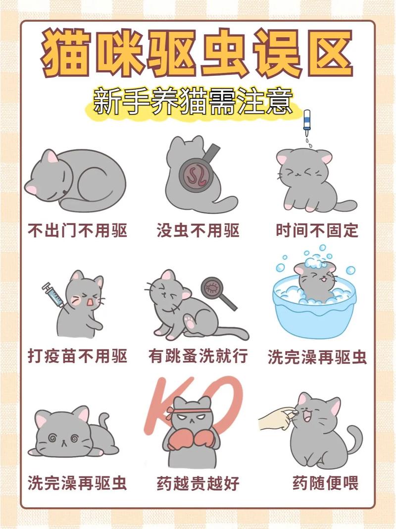 猫咪驱虫常识,猫咪驱虫顺序及注意事项-第3张图片-牛逼常识网 猫咪驱虫常识,猫咪驱虫顺序及注意事项-第3张图片-牛逼常识网