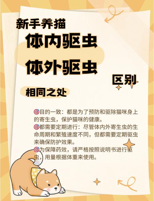 猫咪驱虫常识,猫咪驱虫顺序及注意事项-第4张图片-牛逼常识网 猫咪驱虫常识,猫咪驱虫顺序及注意事项-第4张图片-牛逼常识网