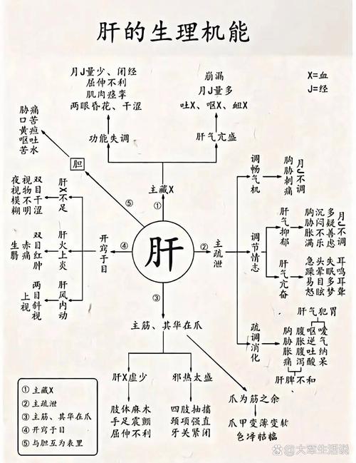 人体机能学讲什么（人体机能学知识点总结）