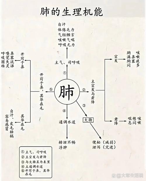 人体机能常识(人体机能常识有哪些)-第3张图片-牛逼常识网 人体机能常识(人体机能常识有哪些)-第3张图片-牛逼常识网