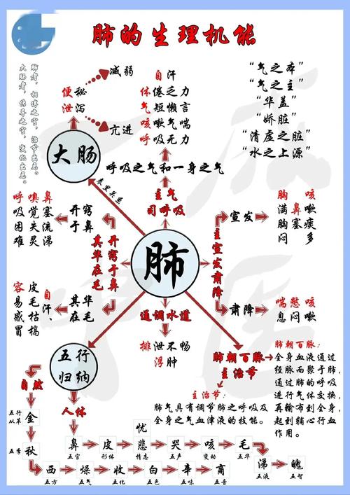 人体机能常识(人体机能常识有哪些)-第7张图片-牛逼常识网 人体机能常识(人体机能常识有哪些)-第7张图片-牛逼常识网