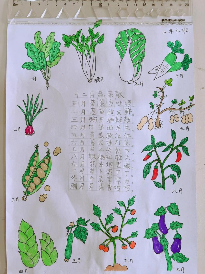 自然常识儿歌 - 自然常识儿歌视频-第5张图片-牛逼常识网 自然常识儿歌 - 自然常识儿歌视频-第5张图片-牛逼常识网