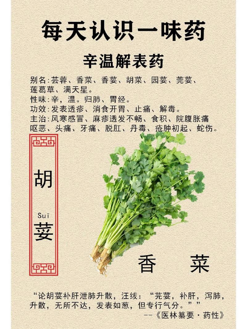 辛的文言常识(辛古文怎么写)-第2张图片-牛逼常识网 辛的文言常识(辛古文怎么写)-第2张图片-牛逼常识网