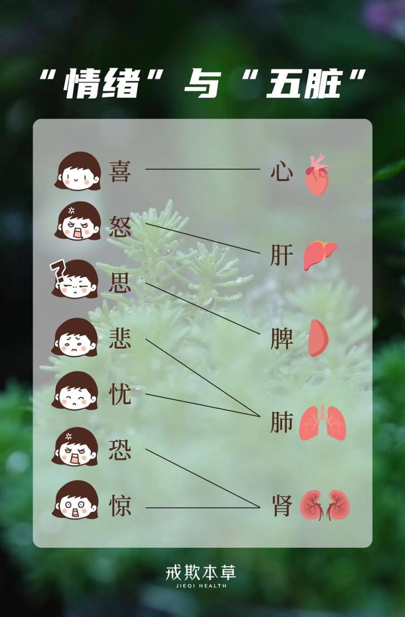 巡按文化常识,文化常识100条-第5张图片-牛逼常识网 巡按文化常识,文化常识100条-第5张图片-牛逼常识网