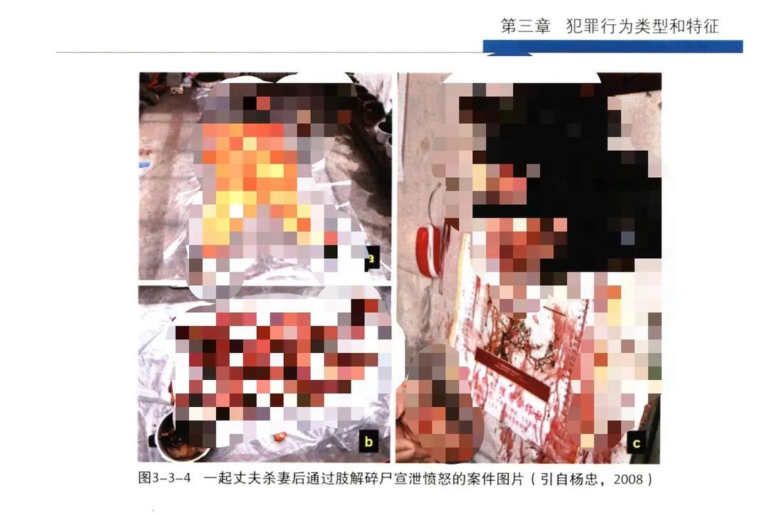 时政常识100题 - 时政常识100题及答案-第3张图片-牛逼常识网 时政常识100题 - 时政常识100题及答案-第3张图片-牛逼常识网